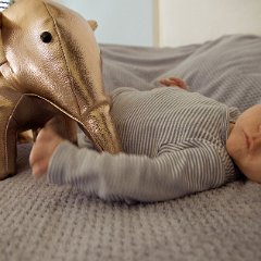 IMG 570